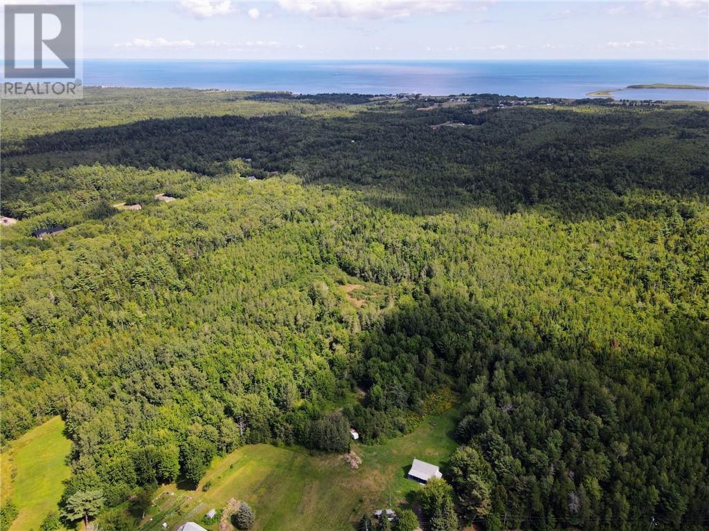 Lot-2 Route 134, Dundas, New Brunswick  E4R 2Z1 - Photo 2 - M161789