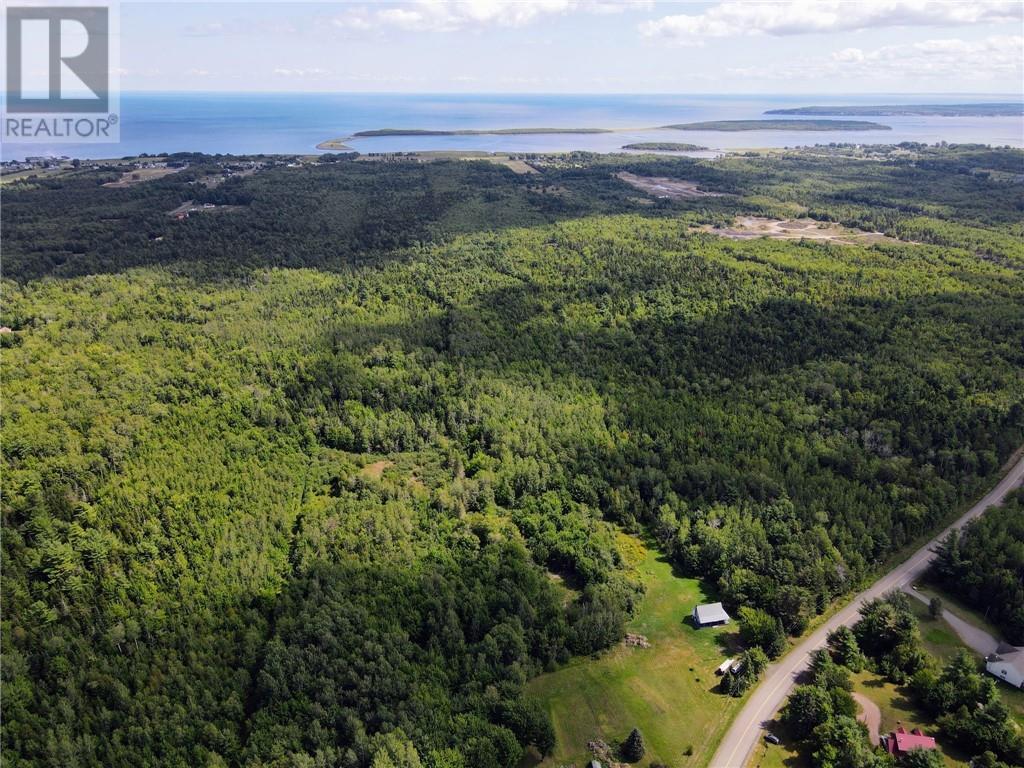 Lot-2 Route 134, Dundas, New Brunswick  E4R 2Z1 - Photo 4 - M161789