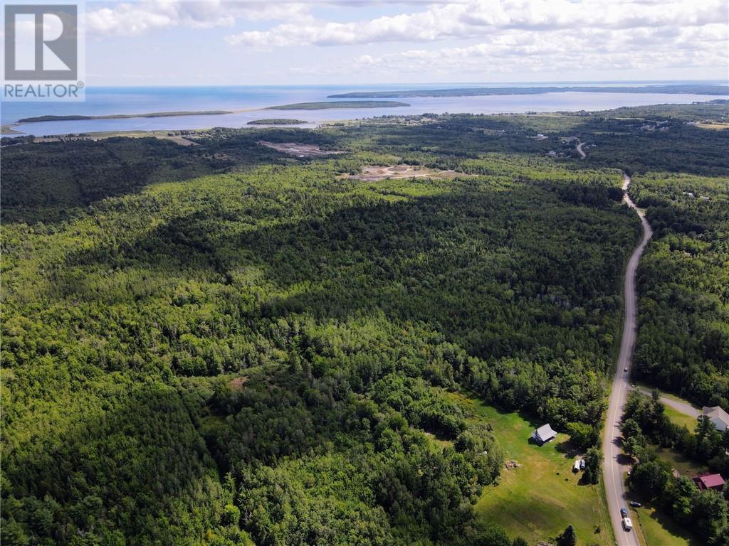 Lot-2 Route 134, Dundas, New Brunswick  E4R 2Z1 - Photo 5 - M161789