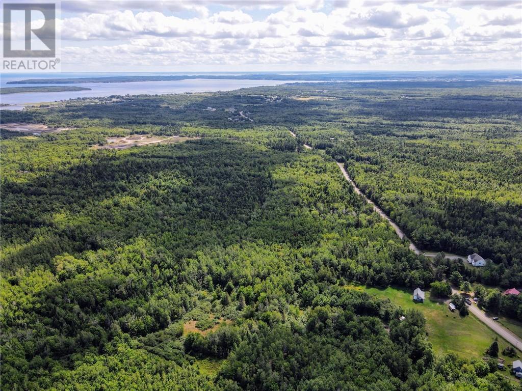 Lot-2 Route 134, Dundas, New Brunswick  E4R 2Z1 - Photo 6 - M161789