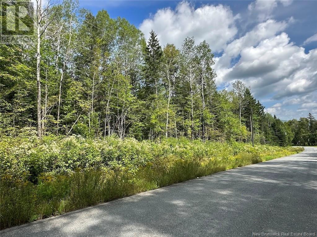 Lot Rang 5 Road, Saint-Basile, New Brunswick  E7C 1X7 - Photo 2 - NB104671