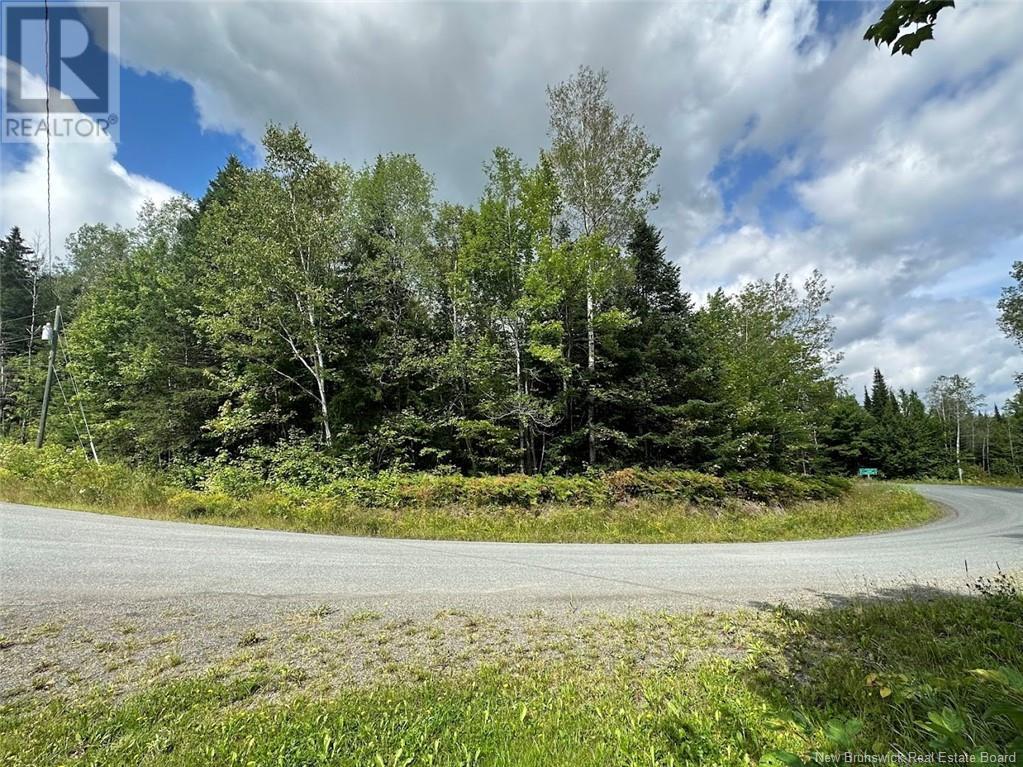 Lot Rang 5 Road, Saint-Basile, New Brunswick  E7C 1X7 - Photo 3 - NB104671