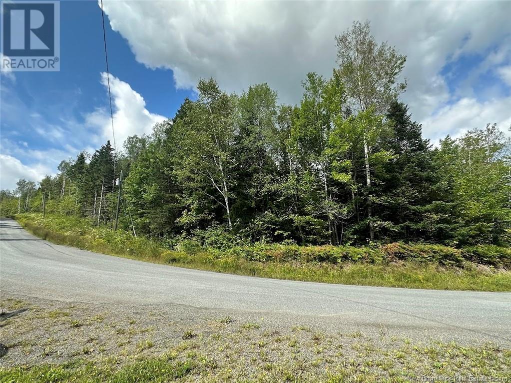 Lot Rang 5 Road, Saint-Basile, New Brunswick  E7C 1X7 - Photo 4 - NB104671