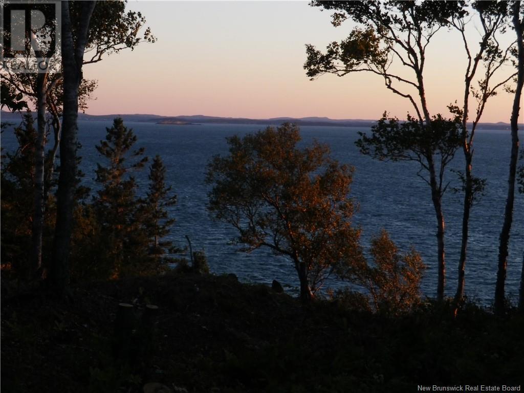 Fundy Drive, Campobello, New Brunswick  E5E 1X4 - Photo 13 - NB103724