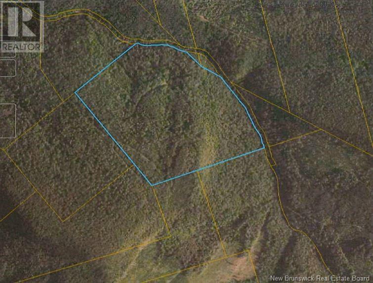 Lot 1 Cotter Hollow Brook Road, mill brook, New Brunswick