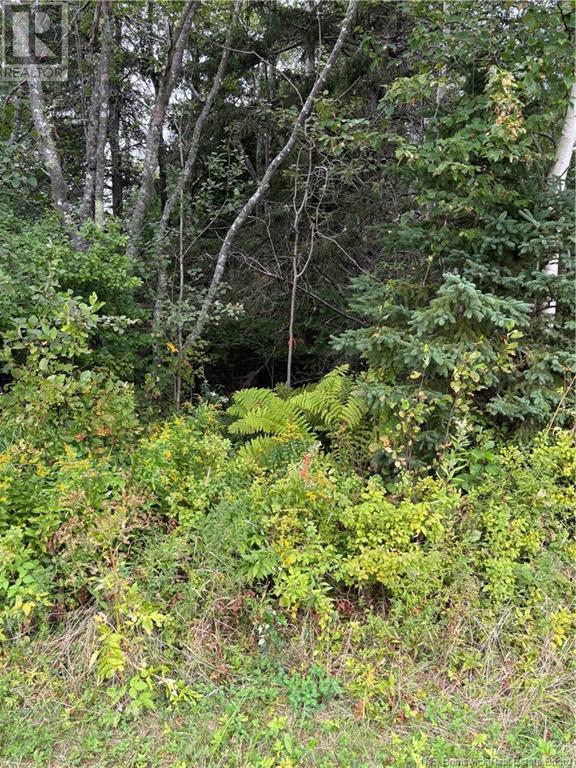 Lot 75-5 Hall Road, Lakeside, New Brunswick  E5N 7H1 - Photo 16 - NB104800