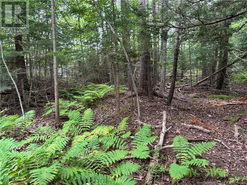 Lot 75-5 Hall Road, Lakeside, New Brunswick  E5N 7H1 - Photo 23 - NB104800