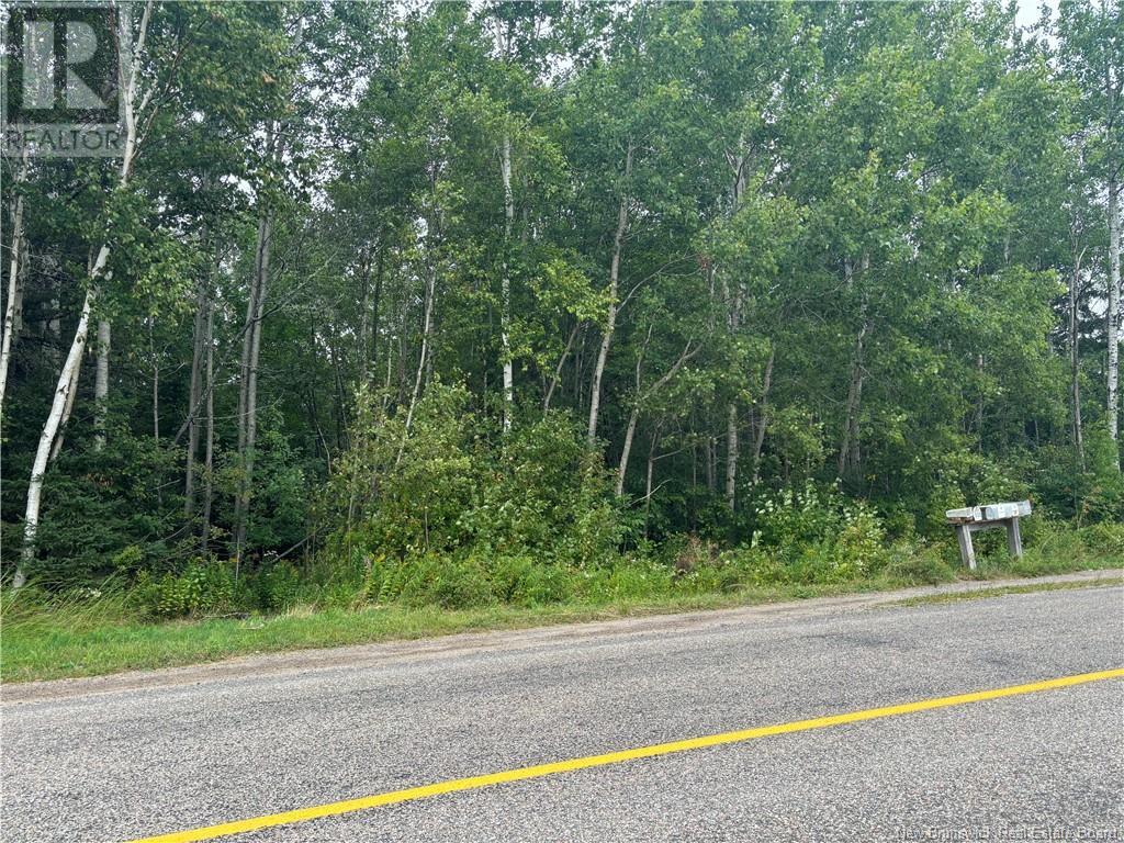 Lot 75-5 Hall Road, Lakeside, New Brunswick  E5N 7H1 - Photo 4 - NB104800