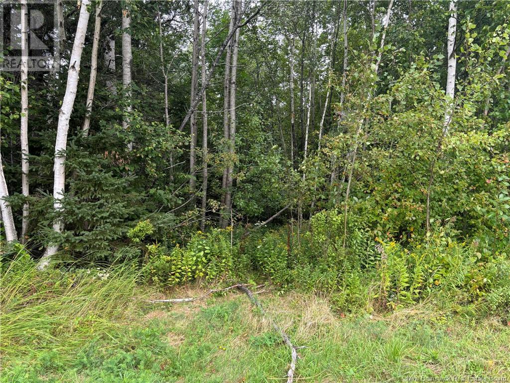 Lot 75-5 Hall Road, Lakeside, New Brunswick  E5N 7H1 - Photo 5 - NB104800