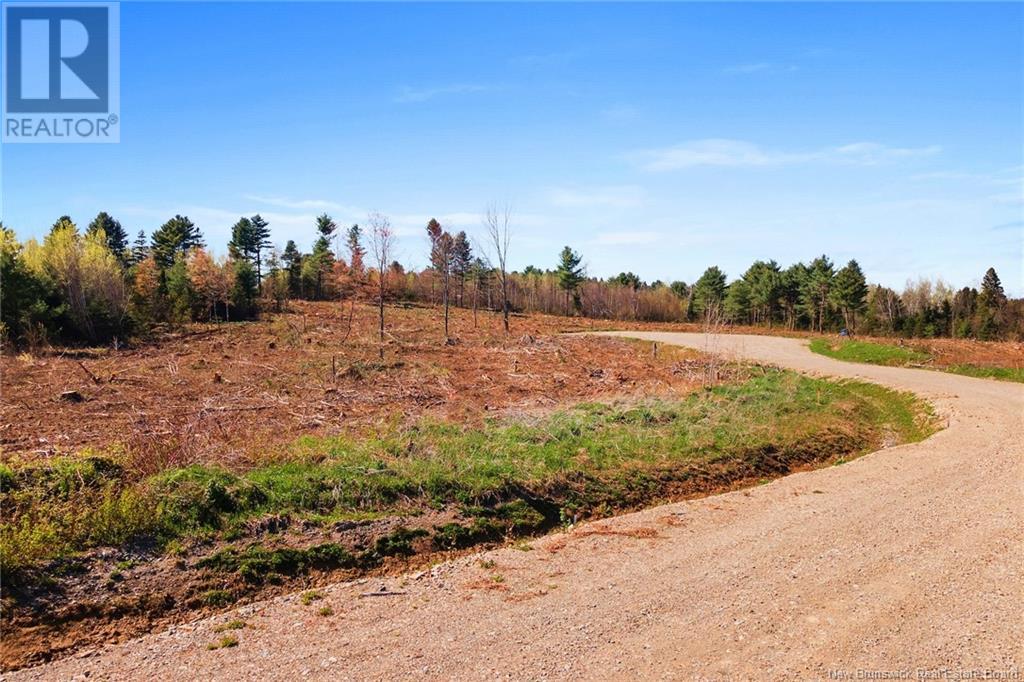 Lot 23-01 Route 105, Nackawic, New Brunswick  E6G 0O0 - Photo 11 - NB104644