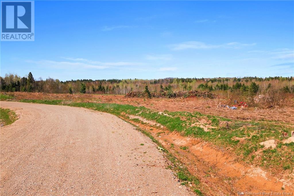 Lot 23-01 Route 105, Nackawic, New Brunswick  E6G 0O0 - Photo 12 - NB104644