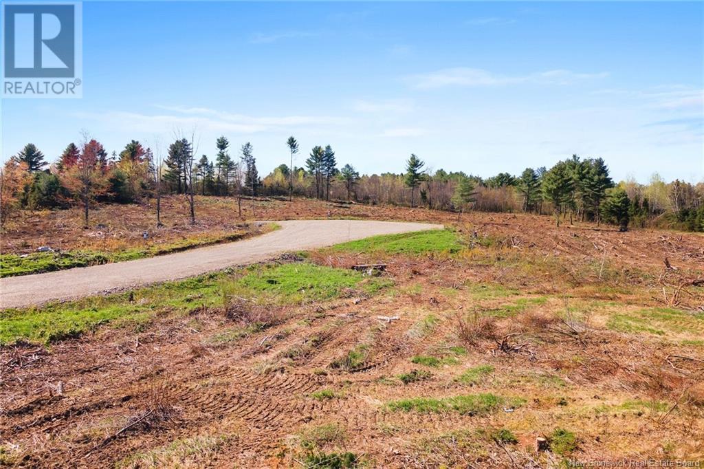 Lot 23-01 Route 105, Nackawic, New Brunswick  E6G 0O0 - Photo 13 - NB104644