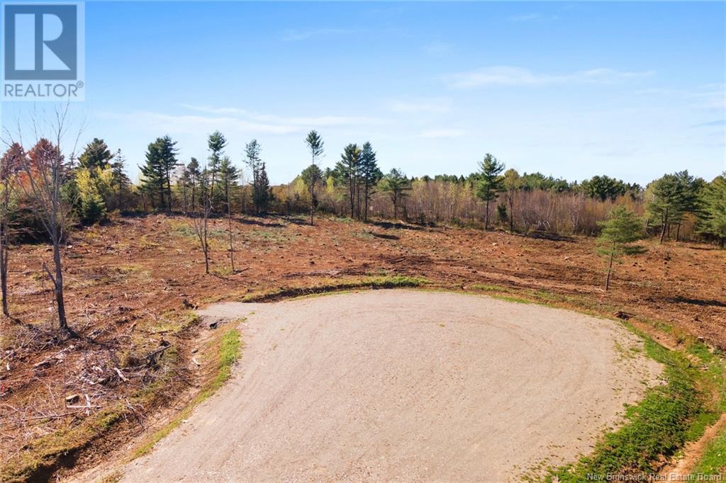 Lot 23-01 Route 105, Nackawic, New Brunswick  E6G 0O0 - Photo 14 - NB104644