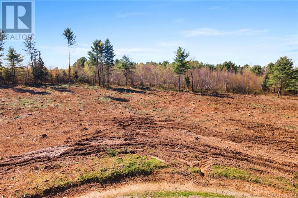 Lot 23-01 Route 105, Nackawic, New Brunswick  E6G 0O0 - Photo 15 - NB104644