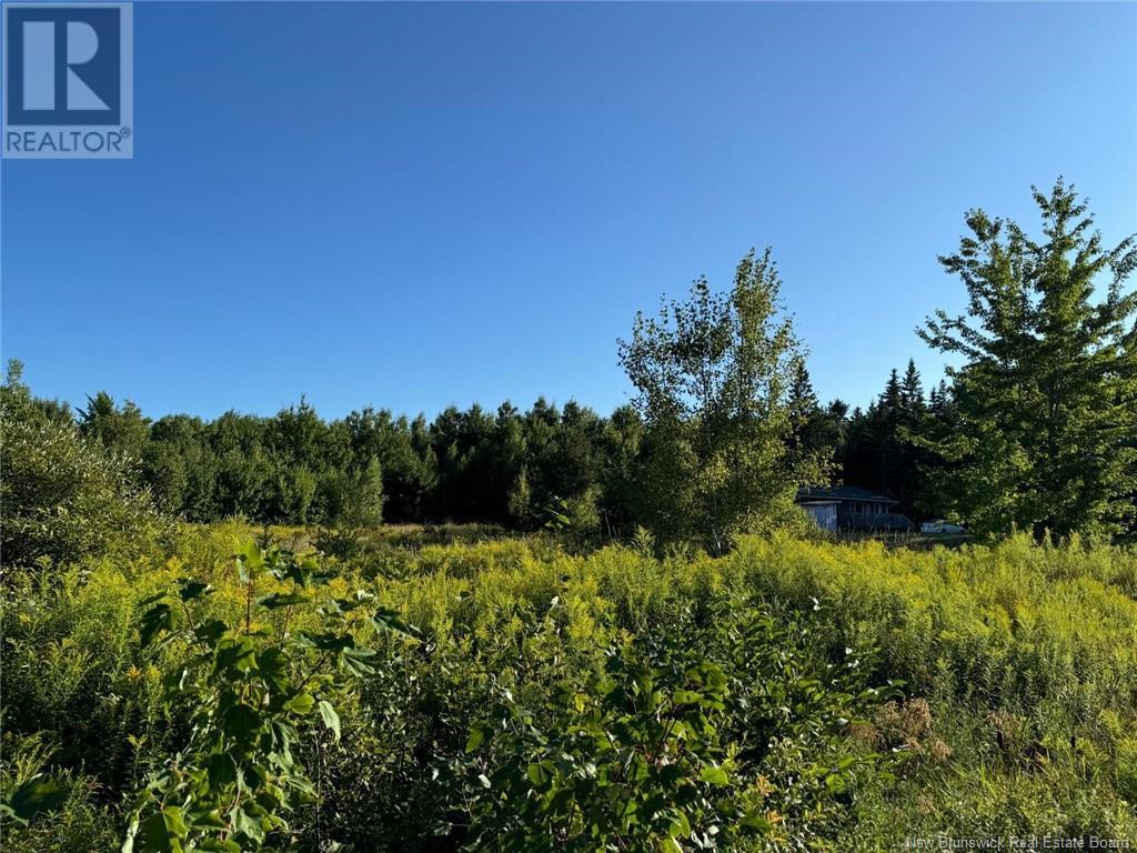 Lot 14-02 Weisner Road, Lakeville, New Brunswick  E1H 1T6 - Photo 2 - NB104923