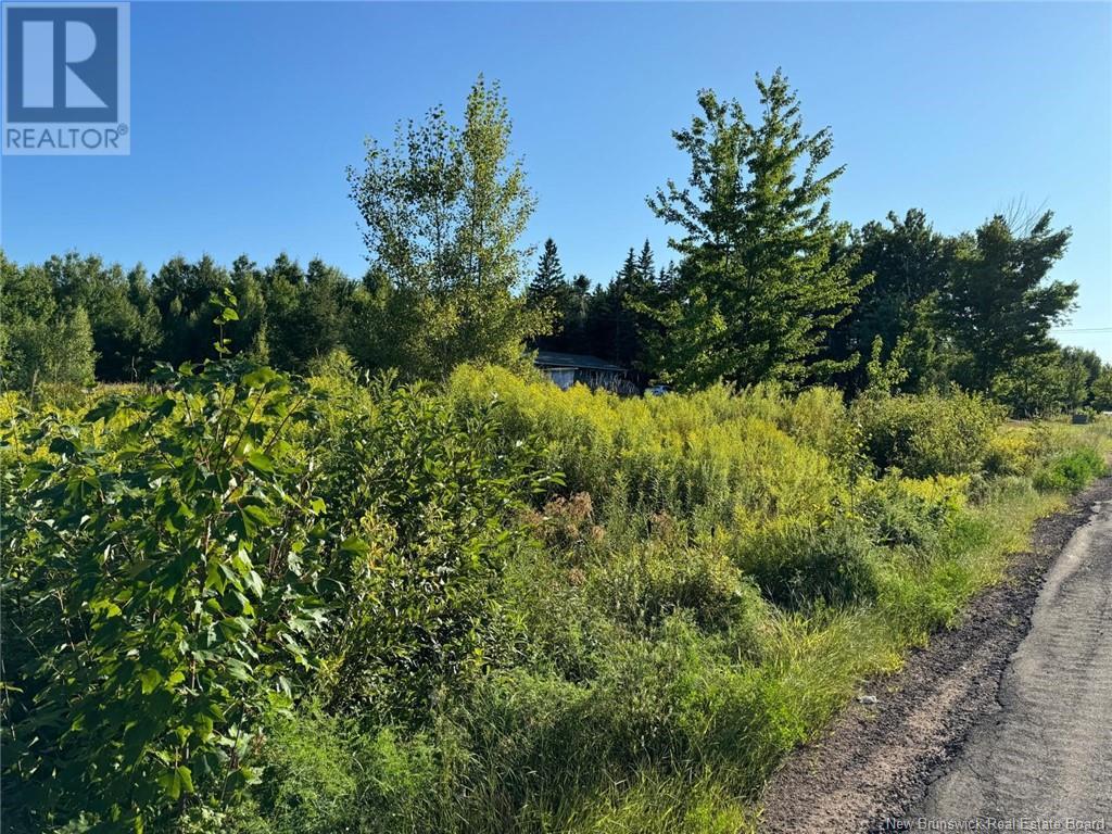 Lot 14-02 Weisner Road, Lakeville, New Brunswick  E1H 1T6 - Photo 3 - NB104923