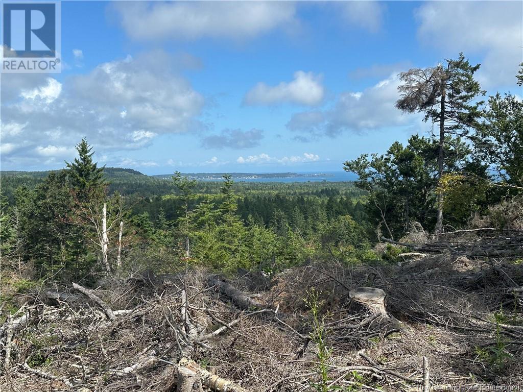 Lot 2 Hill Road, Grand Manan Island, New Brunswick  E5G 1E5 - Photo 1 - NB104856