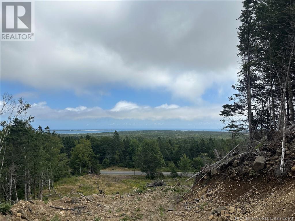 Lot 2 Hill Road, Grand Manan Island, New Brunswick  E5G 1E5 - Photo 10 - NB104856