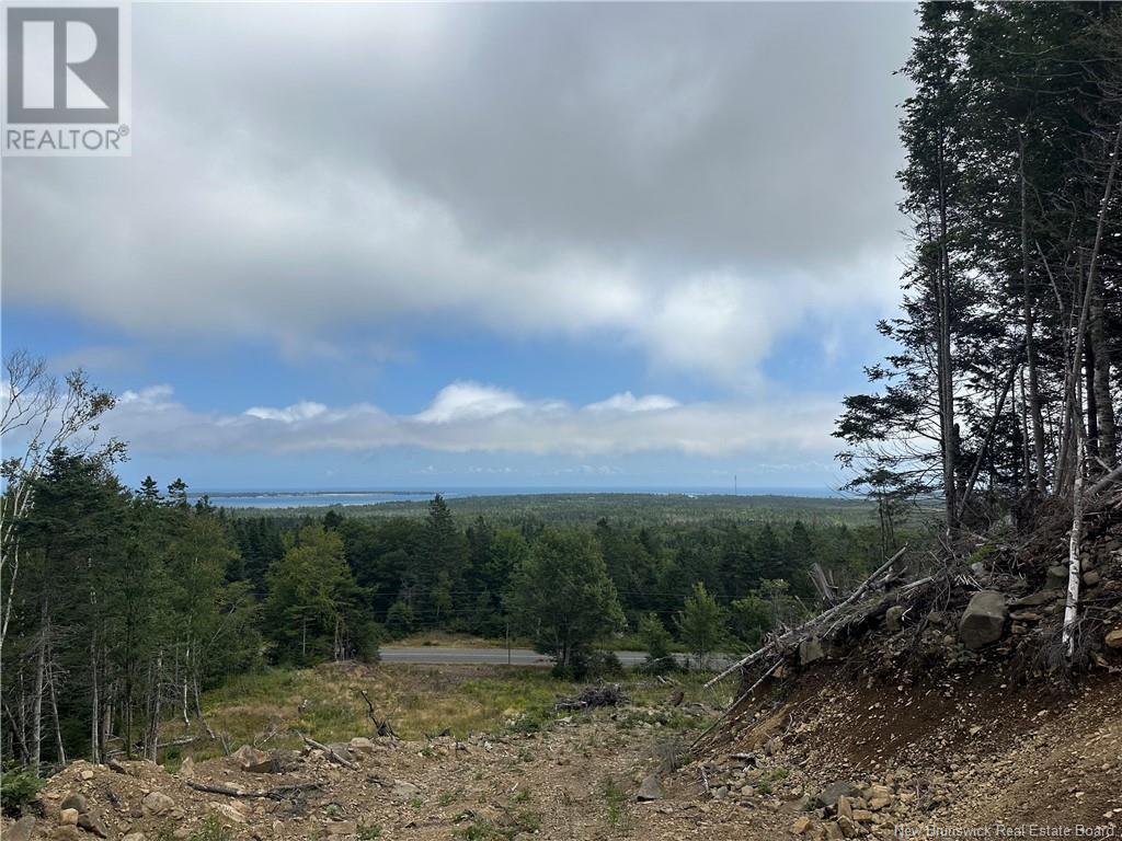 Lot 2 Hill Road, Grand Manan Island, New Brunswick  E5G 1E5 - Photo 11 - NB104856