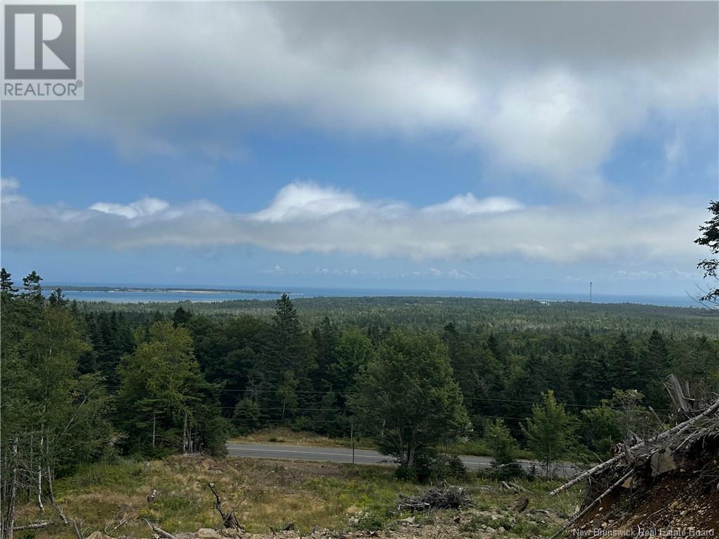 Lot 2 Hill Road, Grand Manan Island, New Brunswick  E5G 1E5 - Photo 12 - NB104856