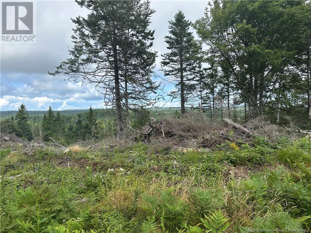 Lot 2 Hill Road, Grand Manan Island, New Brunswick  E5G 1E5 - Photo 15 - NB104856