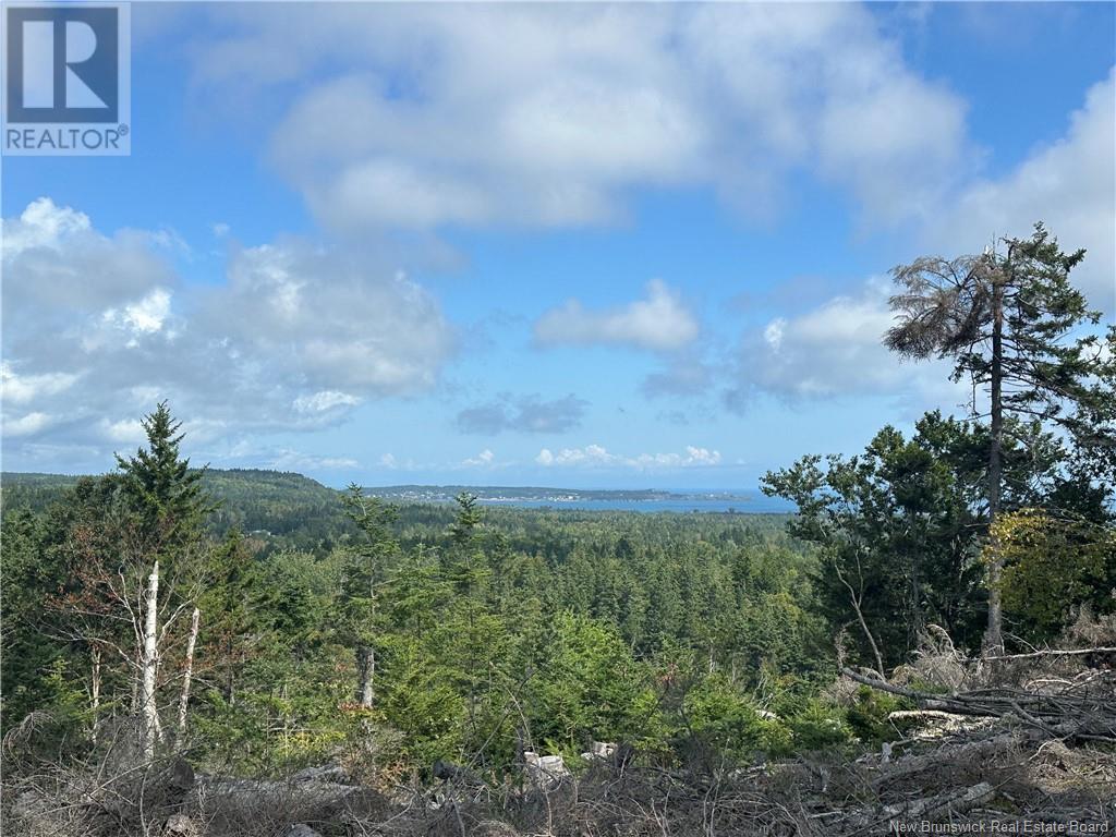 Lot 2 Hill Road, Grand Manan Island, New Brunswick  E5G 1E5 - Photo 3 - NB104856
