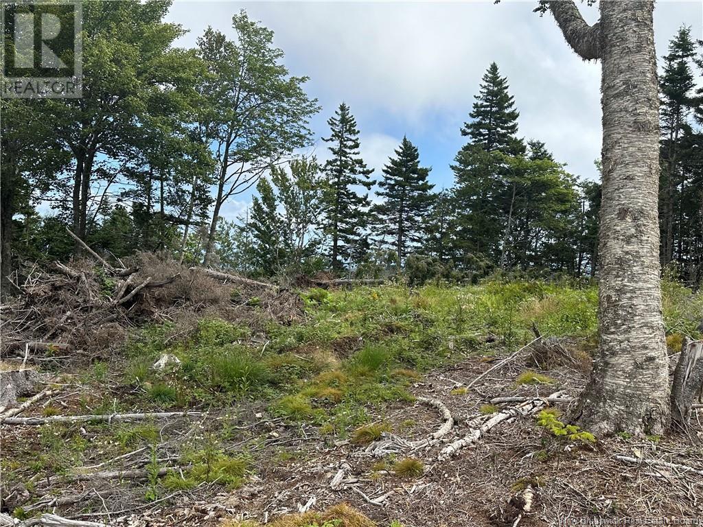 Lot 2 Hill Road, Grand Manan Island, New Brunswick  E5G 1E5 - Photo 5 - NB104856