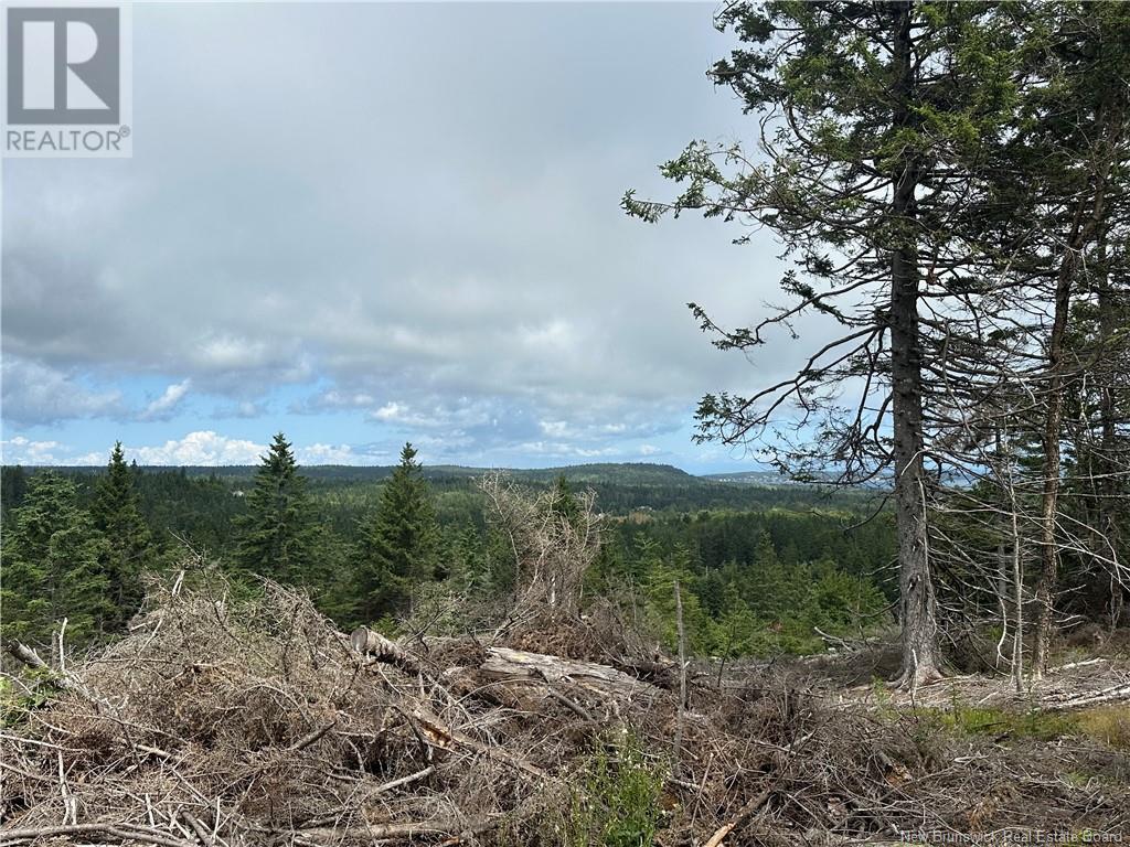 Lot 2 Hill Road, Grand Manan Island, New Brunswick  E5G 1E5 - Photo 6 - NB104856