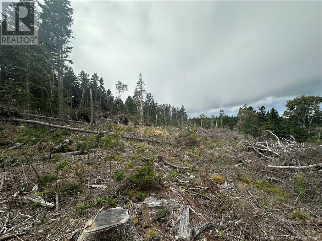 Lot 2 Hill Road, Grand Manan Island, New Brunswick  E5G 1E5 - Photo 7 - NB104856