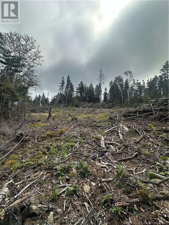 Lot 2 Hill Road, Grand Manan Island, New Brunswick  E5G 1E5 - Photo 8 - NB104856