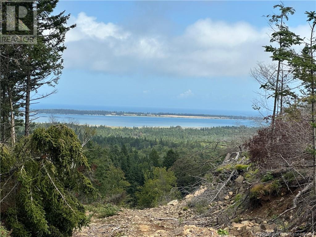 Lot 2 Hill Road, Grand Manan Island, New Brunswick  E5G 1E5 - Photo 9 - NB104856