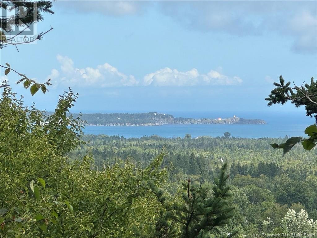 Lot 1 Hill Road, Grand Manan Island, New Brunswick  E5G 1E5 - Photo 13 - NB104843