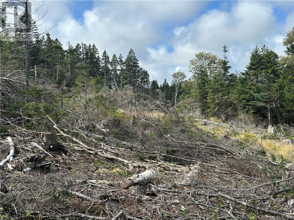 Lot 1 Hill Road, Grand Manan Island, New Brunswick  E5G 1E5 - Photo 2 - NB104843