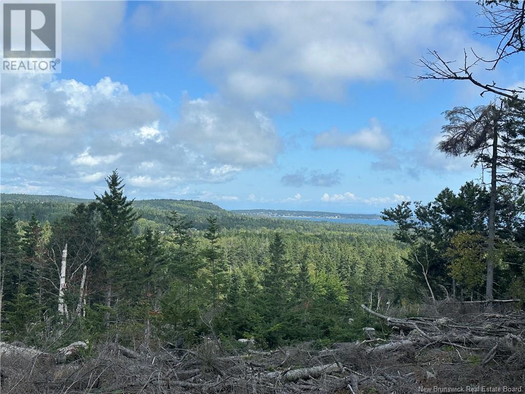 Lot 1 Hill Road, Grand Manan Island, New Brunswick  E5G 1E5 - Photo 4 - NB104843