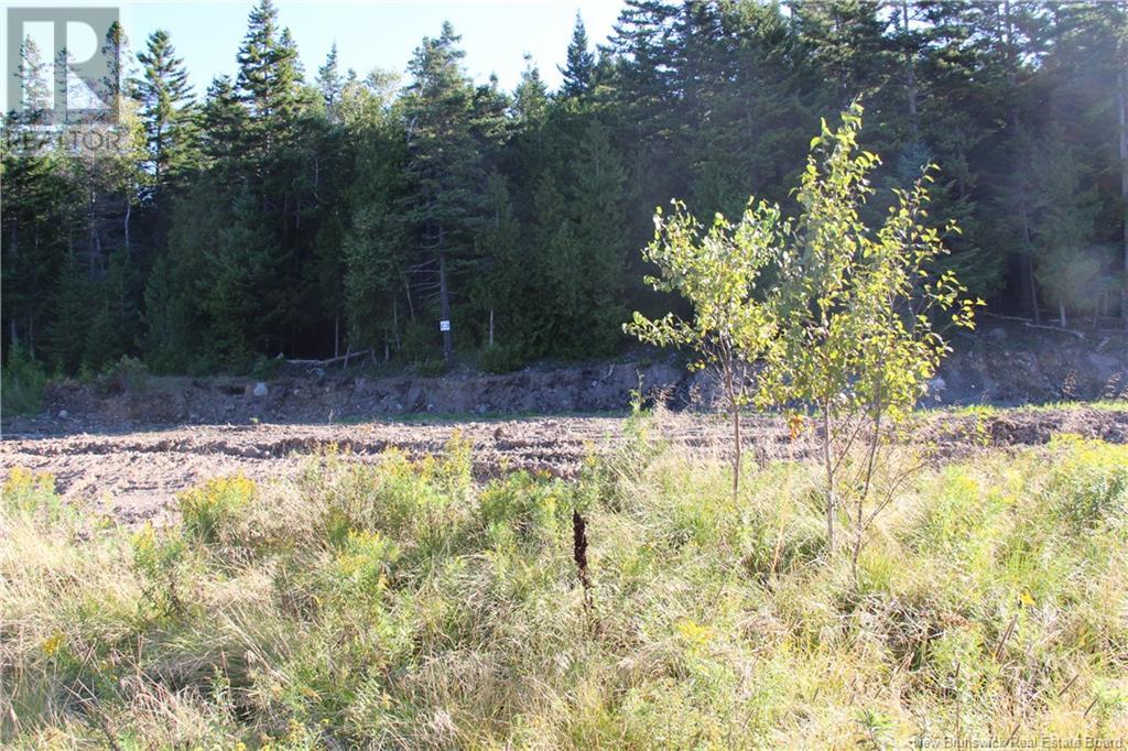 00 Drury Cove Road, Saint John, New Brunswick  E2H 2Z8 - Photo 3 - NB104894