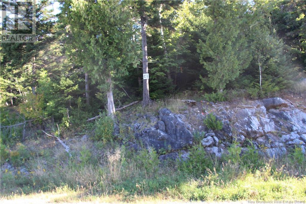 00 Drury Cove Road, Saint John, New Brunswick  E2H 2Z8 - Photo 2 - NB104893