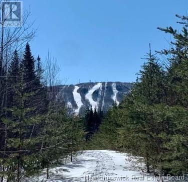 40 Skiers Lane, Crabbe Mountain, New Brunswick  E6E 2K2 - Photo 32 - NB104902