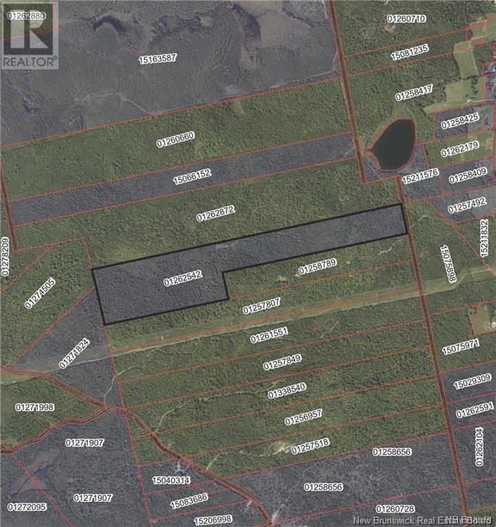 Lot Scotch Ridge Road, Hayman Hill, New Brunswick  E3L 5A8 - Photo 1 - NB104992