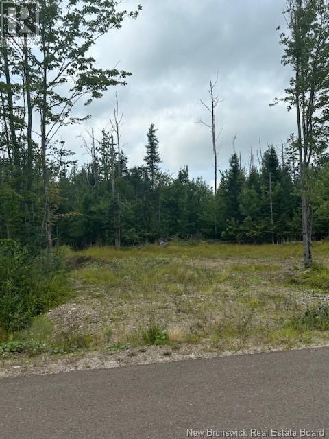 Lot 12-03 Robby Street, Douglas, New Brunswick  E3G 8B4 - Photo 2 - NB105013