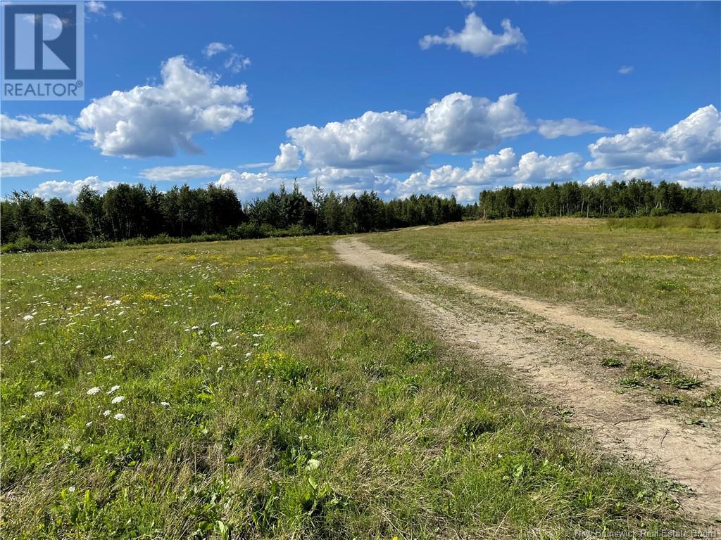 Lot Centreville Road, Florenceville-Bristol, New Brunswick  E7L 3K5 - Photo 11 - NB105000