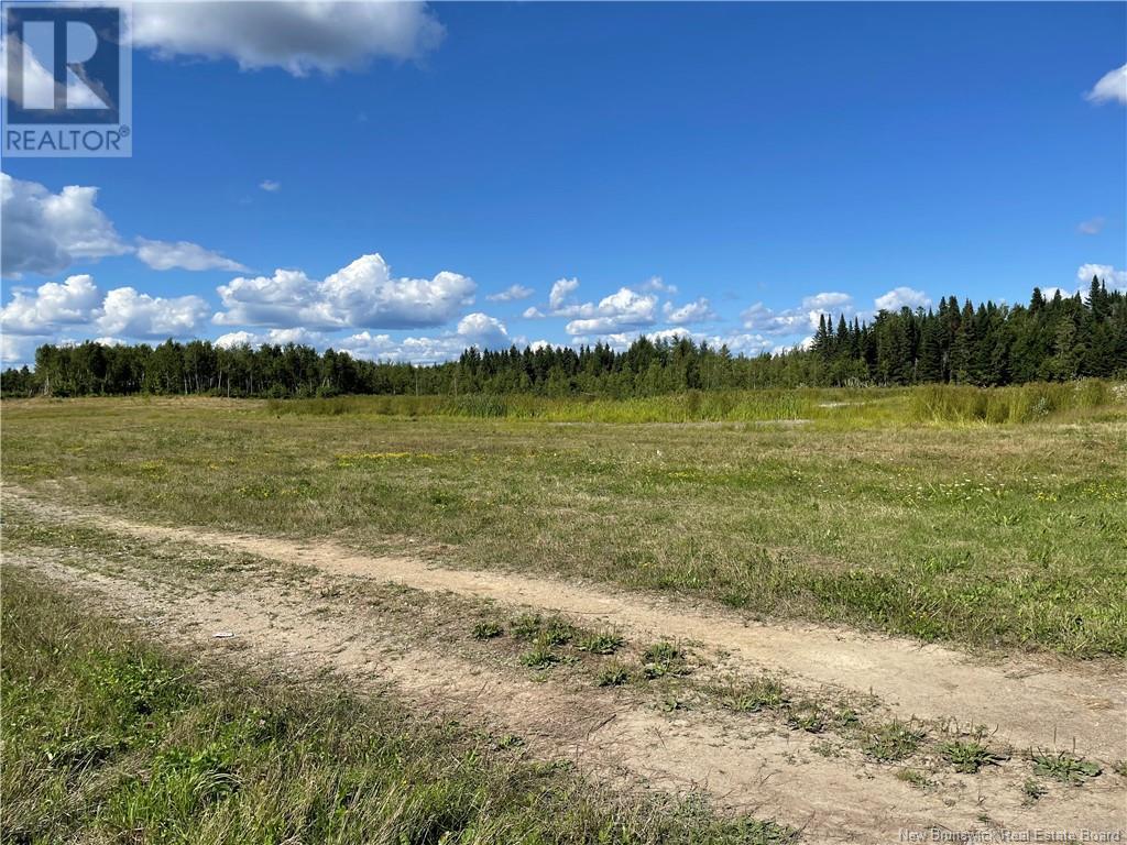 Lot Centreville Road, Florenceville-Bristol, New Brunswick  E7L 3K5 - Photo 12 - NB105000