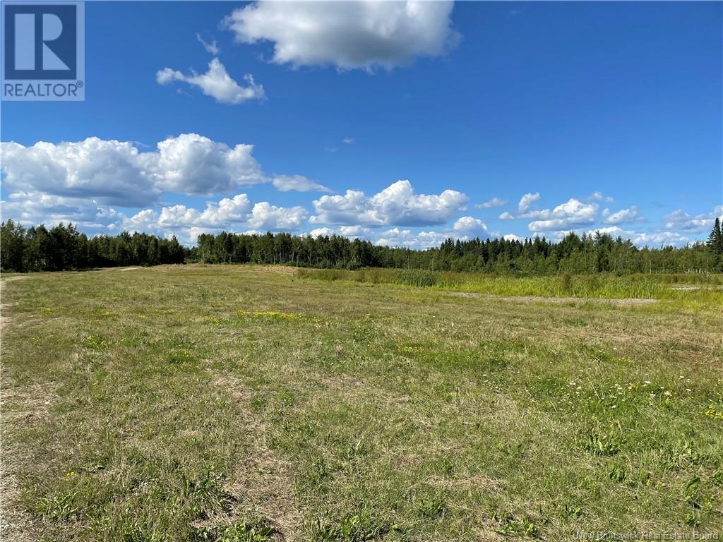 Lot Centreville Road, Florenceville-Bristol, New Brunswick  E7L 3K5 - Photo 13 - NB105000