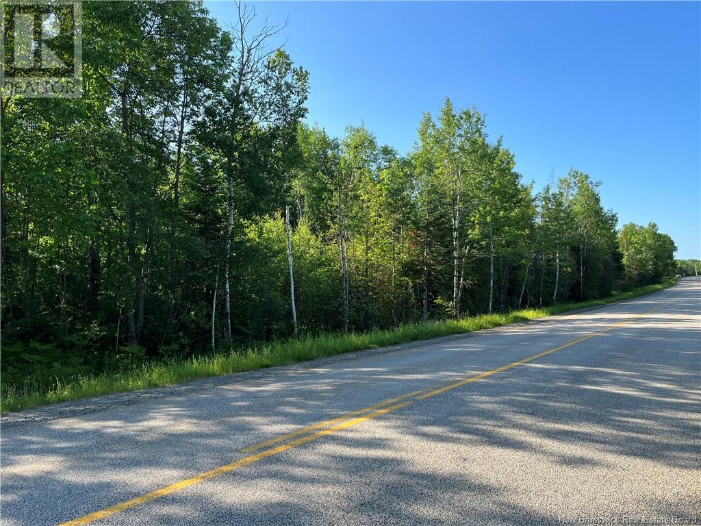 Lot Route 540, Elmwood, New Brunswick  E7N 2C3 - Photo 1 - NB105361