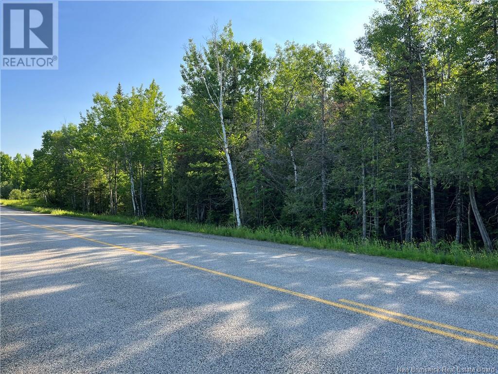 Lot Route 540, Elmwood, New Brunswick  E7N 2C3 - Photo 2 - NB105361