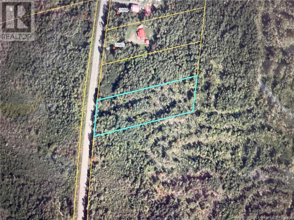 Lot Route 540, Elmwood, New Brunswick  E7N 2C3 - Photo 3 - NB105361