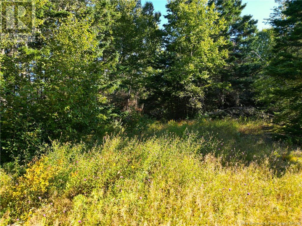 Lot Head Harbour Wharf Road, Wilsons Beach, New Brunswick  E5E 1W8 - Photo 6 - NB105030