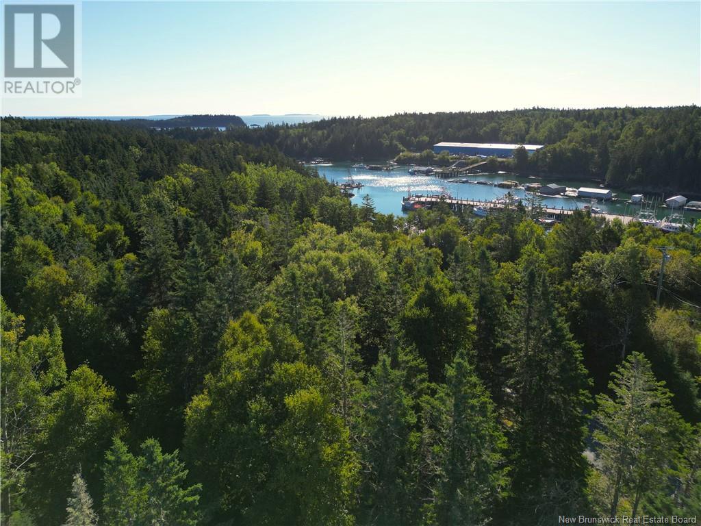 Lot Head Harbour Wharf Road, Wilsons Beach, New Brunswick  E5E 1W8 - Photo 8 - NB105030