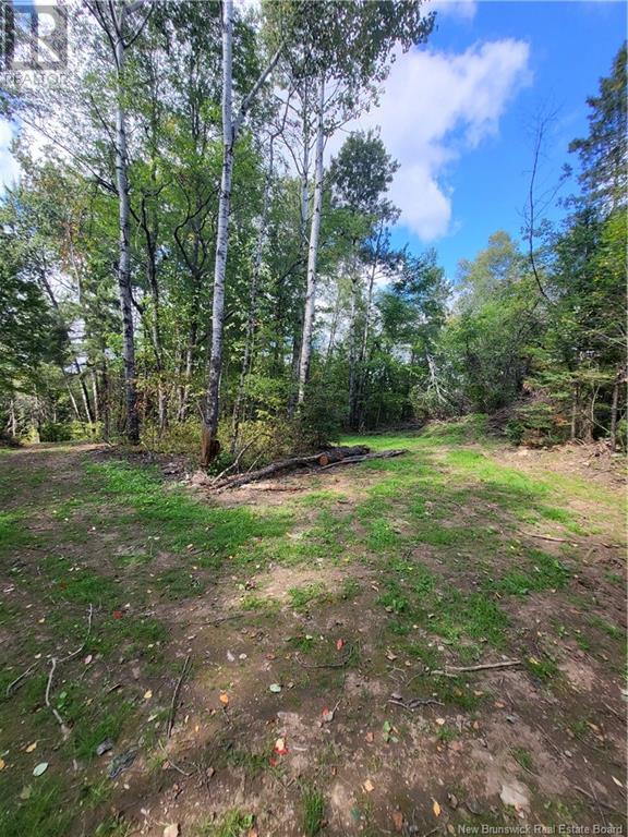 Lot Route 628, Taymouth, New Brunswick  E3C 2B7 - Photo 10 - NB105250