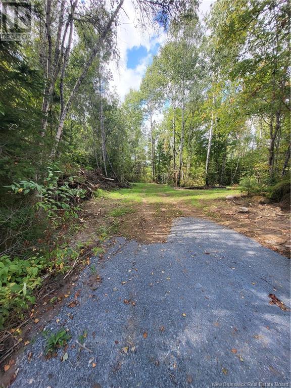 Lot Route 628, Taymouth, New Brunswick  E3C 2B7 - Photo 11 - NB105250