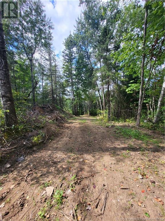 Lot Route 628, Taymouth, New Brunswick  E3C 2B7 - Photo 12 - NB105250